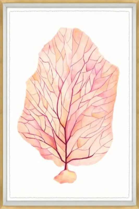 Brilliant Coral I
