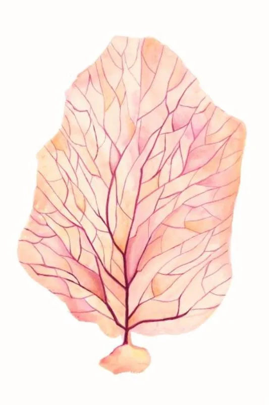 Brilliant Coral I
