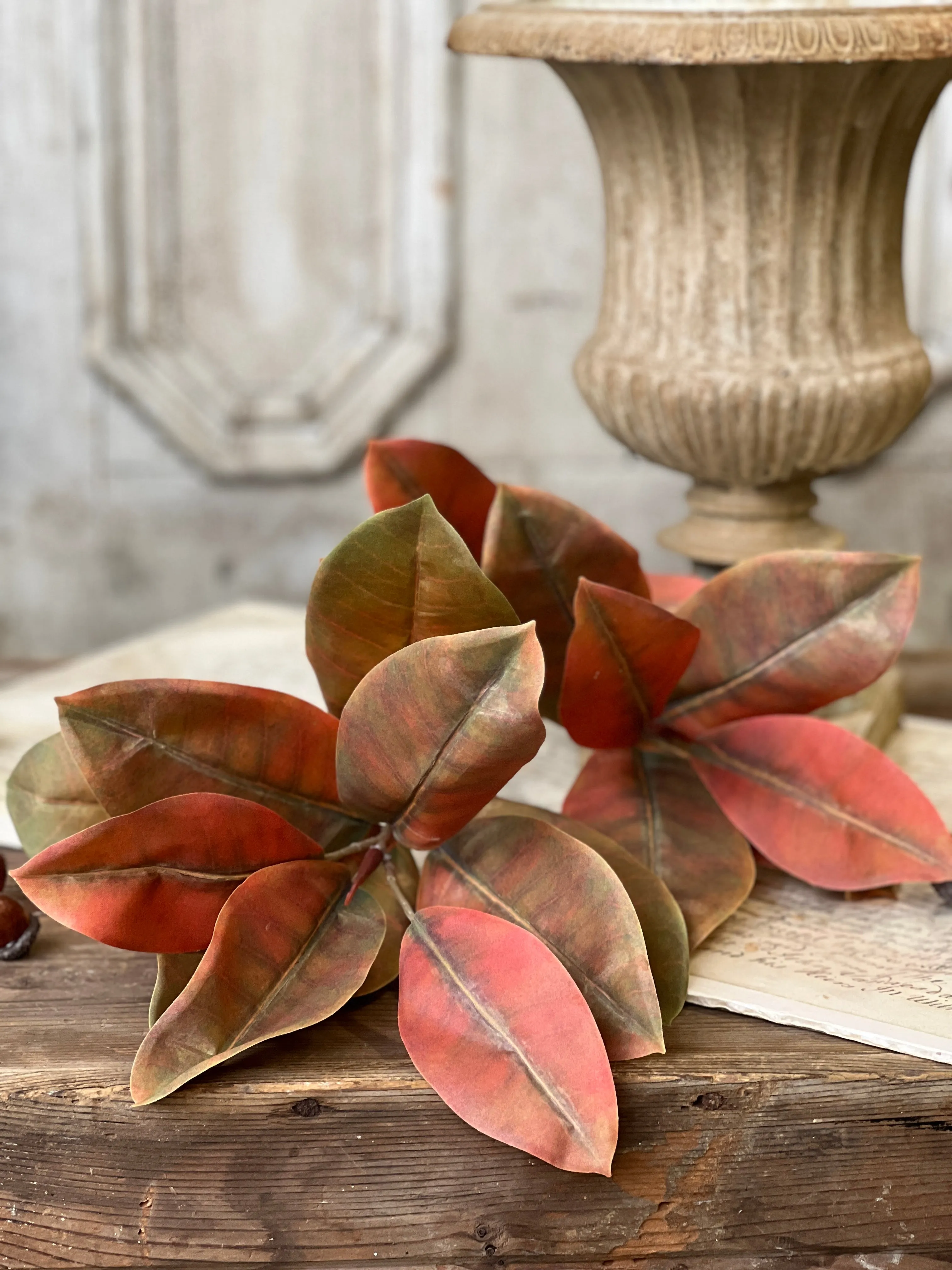 Catalpa Bush | 20" | Ochre