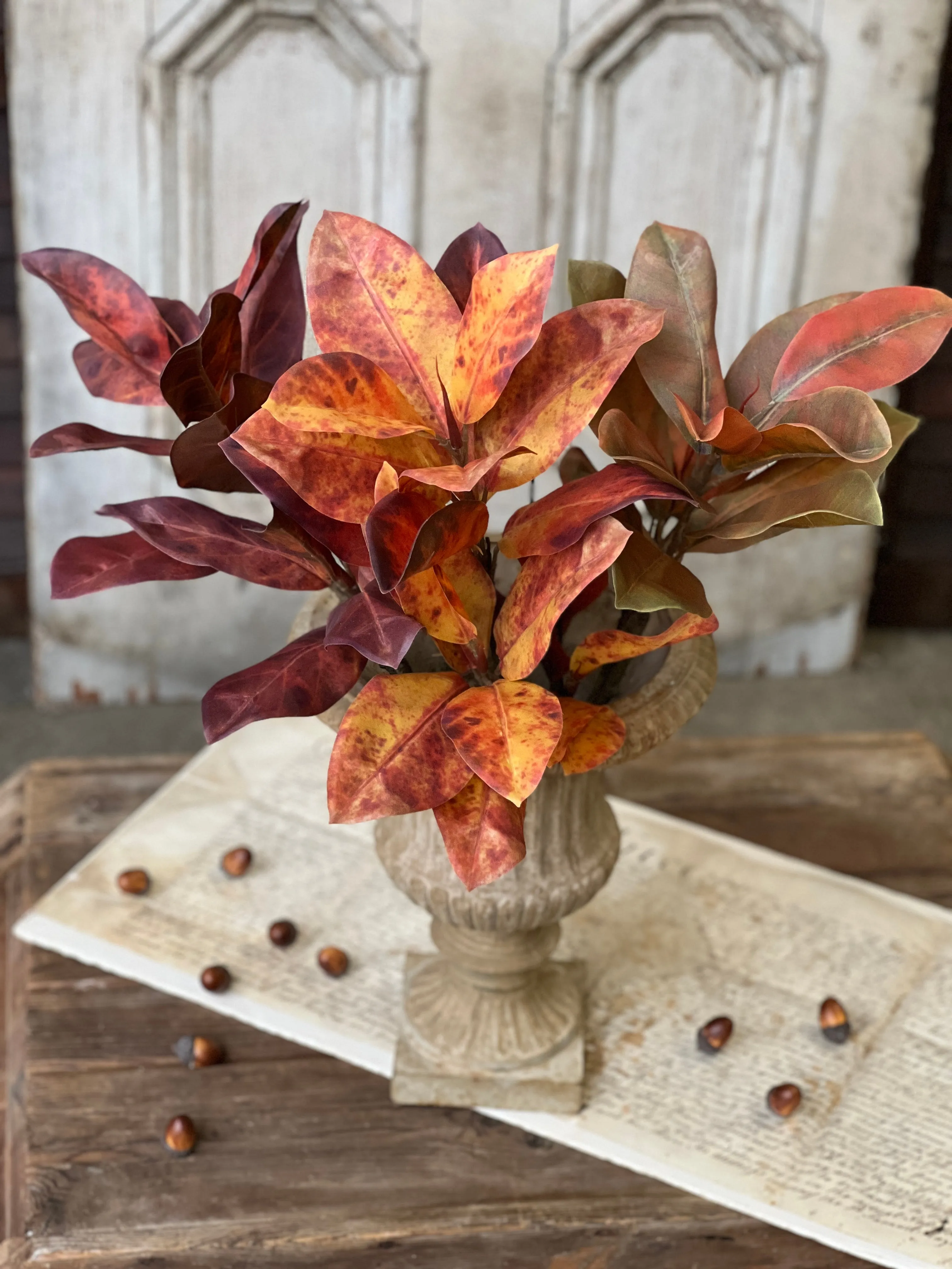 Catalpa Bush | 20" | Ochre