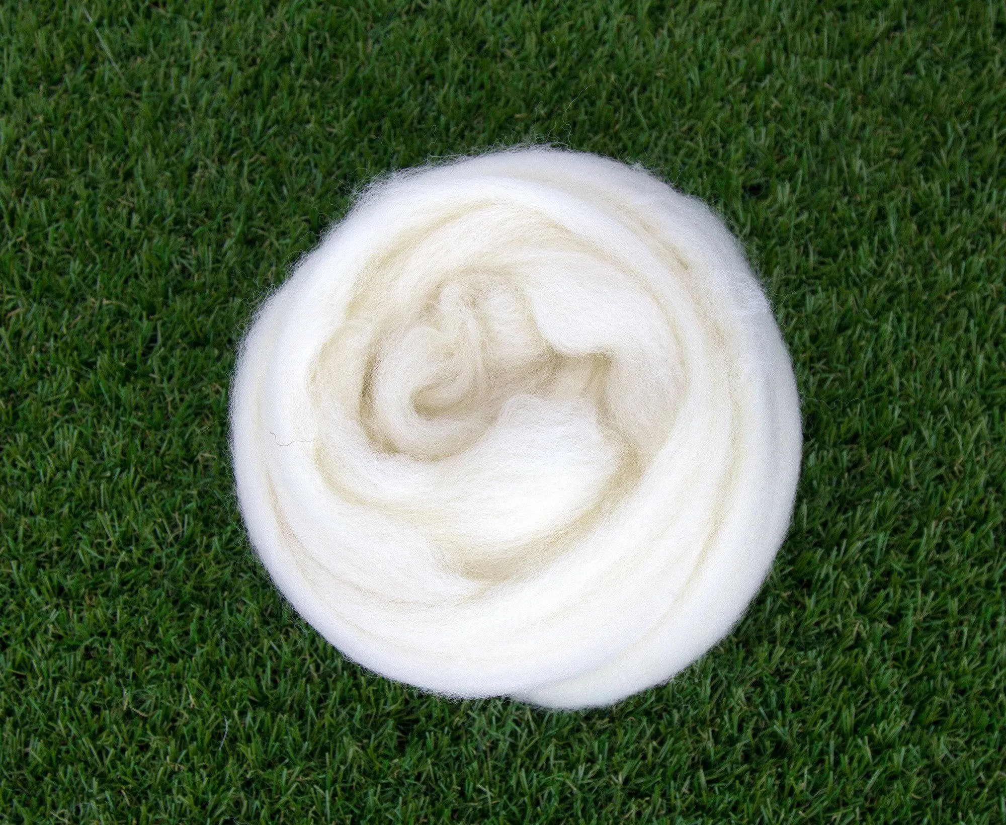 Charollais Top