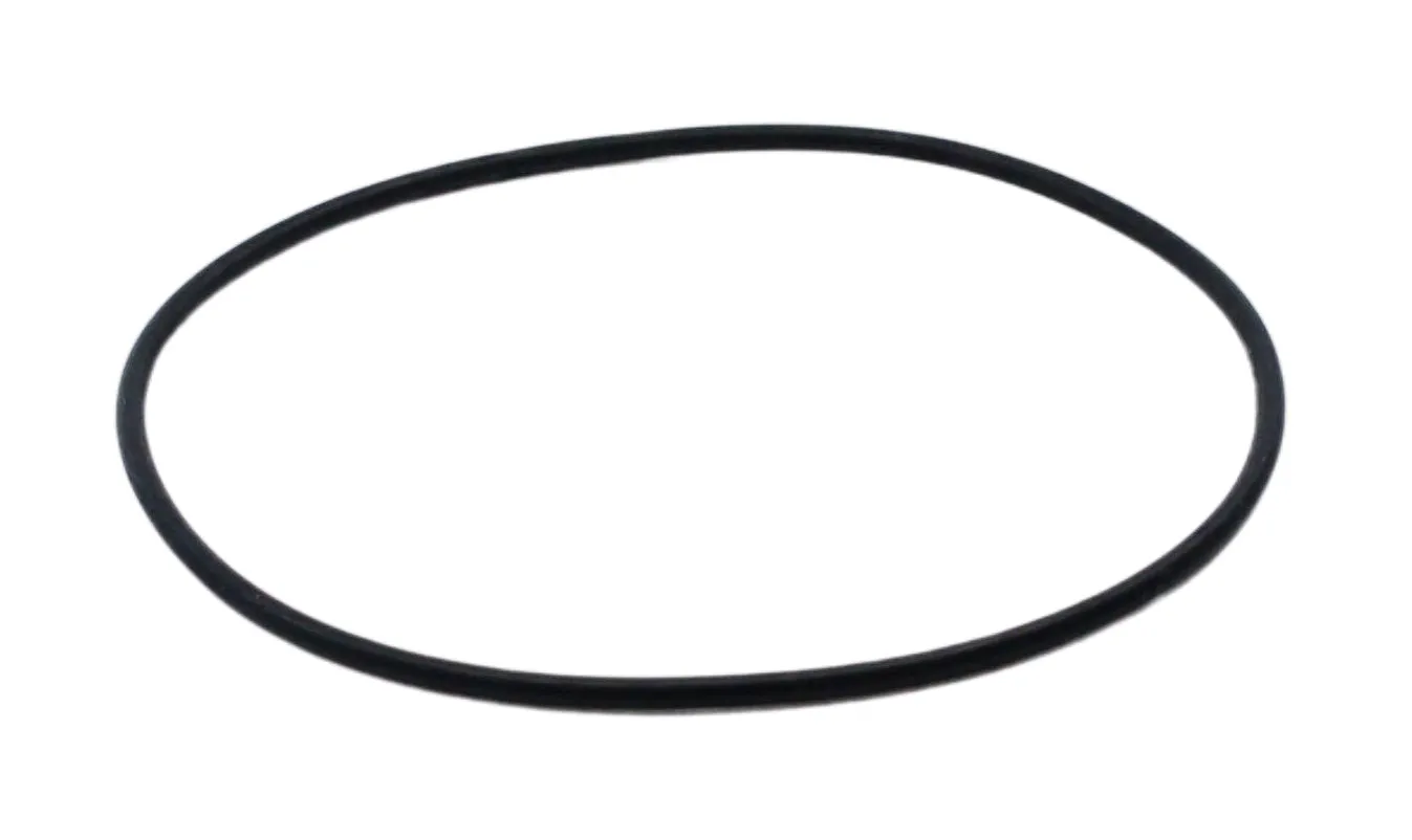 Replacement Belt for Hand-Driven Newton's Color Disc (Eisco PH0582A) - Eisco Labs